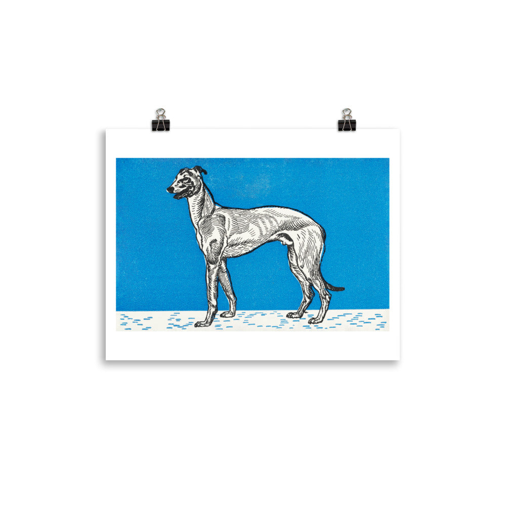 Greyhound (1912) — Moriz Jung Matte Print