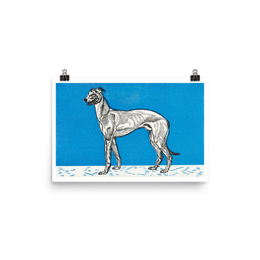 Greyhound (1912) — Moriz Jung Matte Print