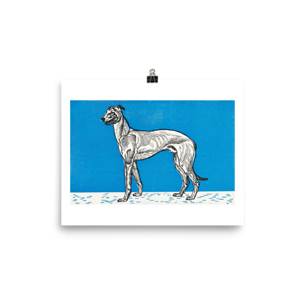 Greyhound (1912) — Moriz Jung Matte Print