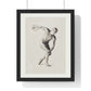Athletic Art Print - Vintage Male Figure Poster