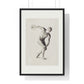 Athletic Art Print - Vintage Male Figure Poster