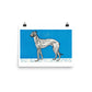 Greyhound (1912) — Moriz Jung Matte Print