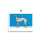 Greyhound (1912) — Moriz Jung Matte Print